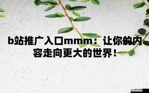 b 站推廣入口 2023mmm 帶你走進精彩的嗶哩嗶哩世界
