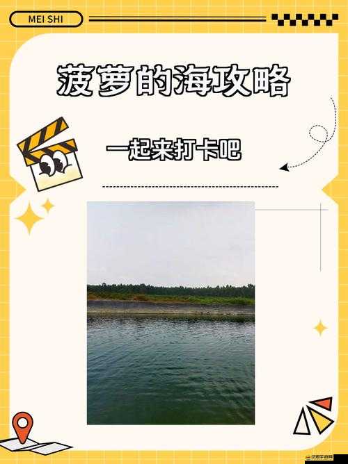 菠蘿視頻：帶你領(lǐng)略豐富多彩的視頻世界