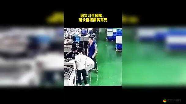 只要一頂嘴就會被主人扇巴掌：這種行為到底對不對呢