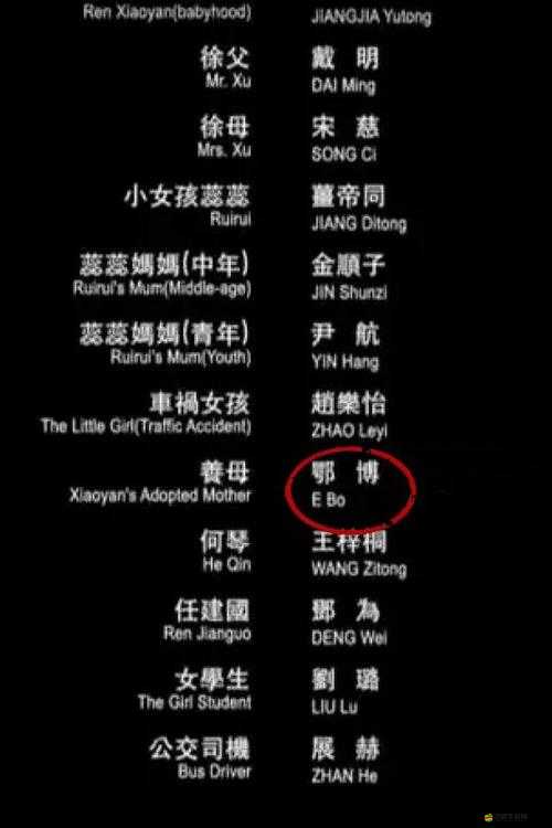 龍套英雄軟件詳細安裝步驟與全面配置指南說明