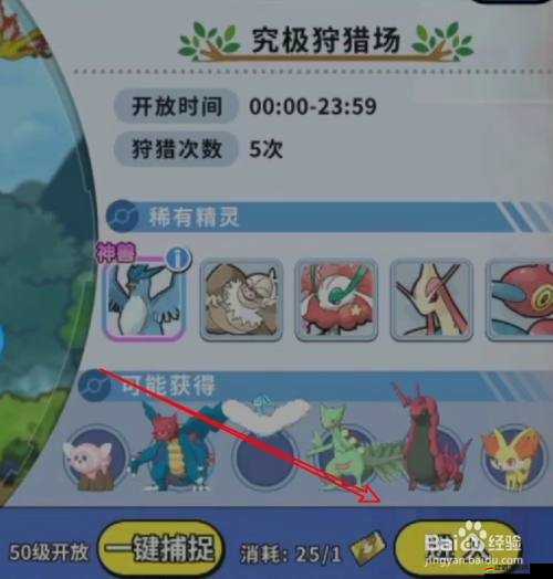 超級精靈球游戲深度解析，狩獵地帶玩法特色與攻略指南