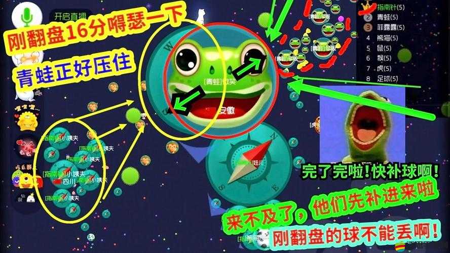 球球大作戰卡白房詳細教程，掌握技巧，輕松解鎖并享受游戲全新樂趣