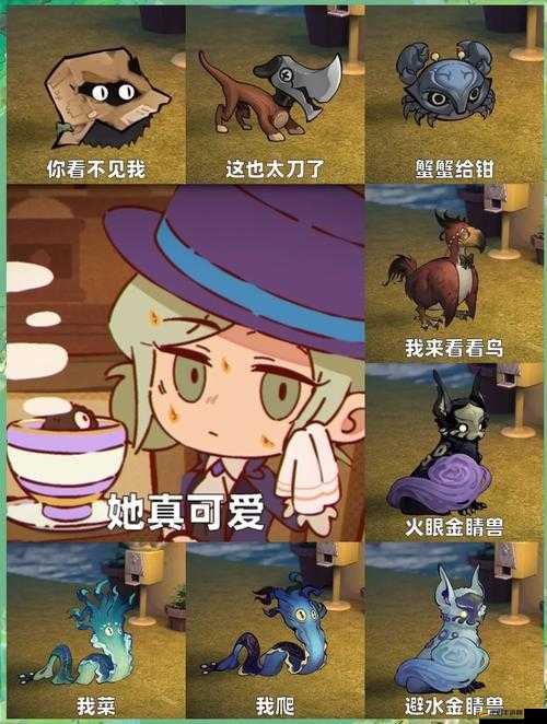 6-12VideOSSeXcm：探索未知的世界