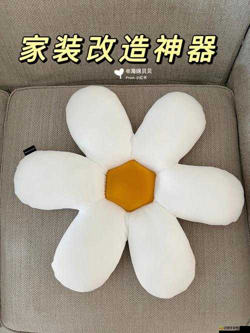家居改造王，激發無限創意，打造專屬夢想家居，享受改造樂趣無窮