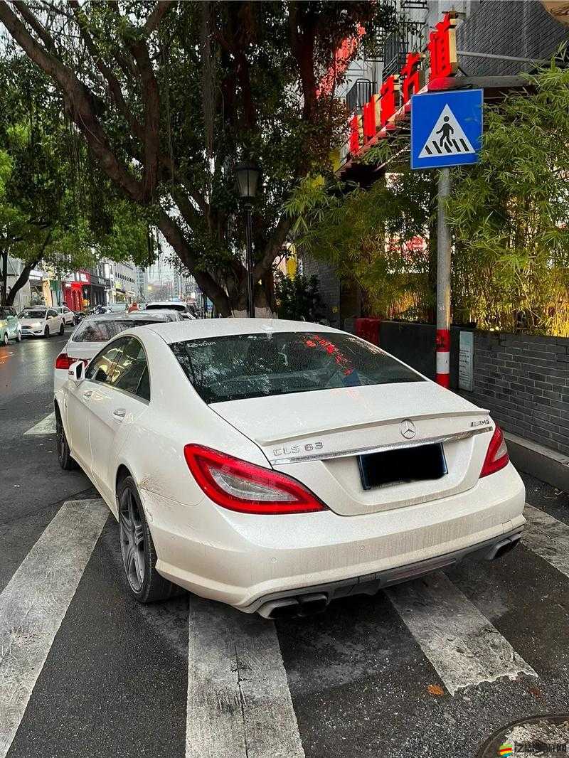 cls 區手機地址 2024 相關：探索其獨特魅力與發展前景