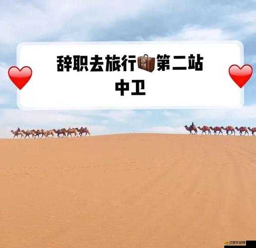 妙奇星球瓶中腦抓捕隊，開啟一場星際探險與智慧碰撞的奇妙旅程