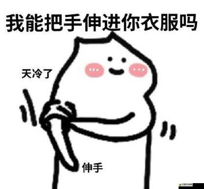 我能把手伸到你的衣服嗎什么意思：探究其背后的含義與意圖