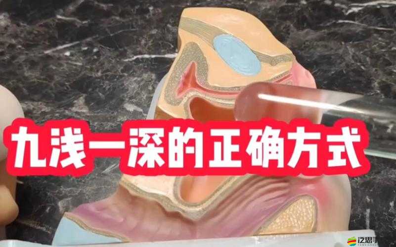 九淺一深與左三右三如何搭配的實(shí)用技巧及注意事項(xiàng)