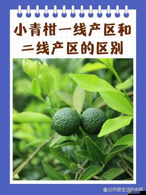 亞洲一線產(chǎn)區(qū)和二線產(chǎn)區(qū)的區(qū)別在哪里