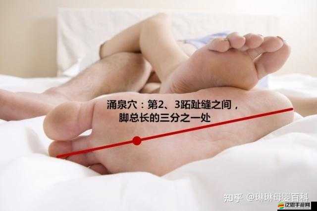 怎么揉小豆水最多知乎：實用技巧分享與探討
