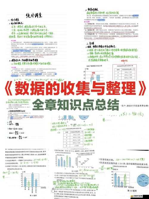 揭秘打BOSS深度解析，探索數(shù)據(jù)背后的秘密、技巧與小知識(shí)全攻略