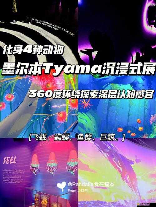 雙拳擴張另類痛苦：探索這種獨特體驗背后的深層原因和影響