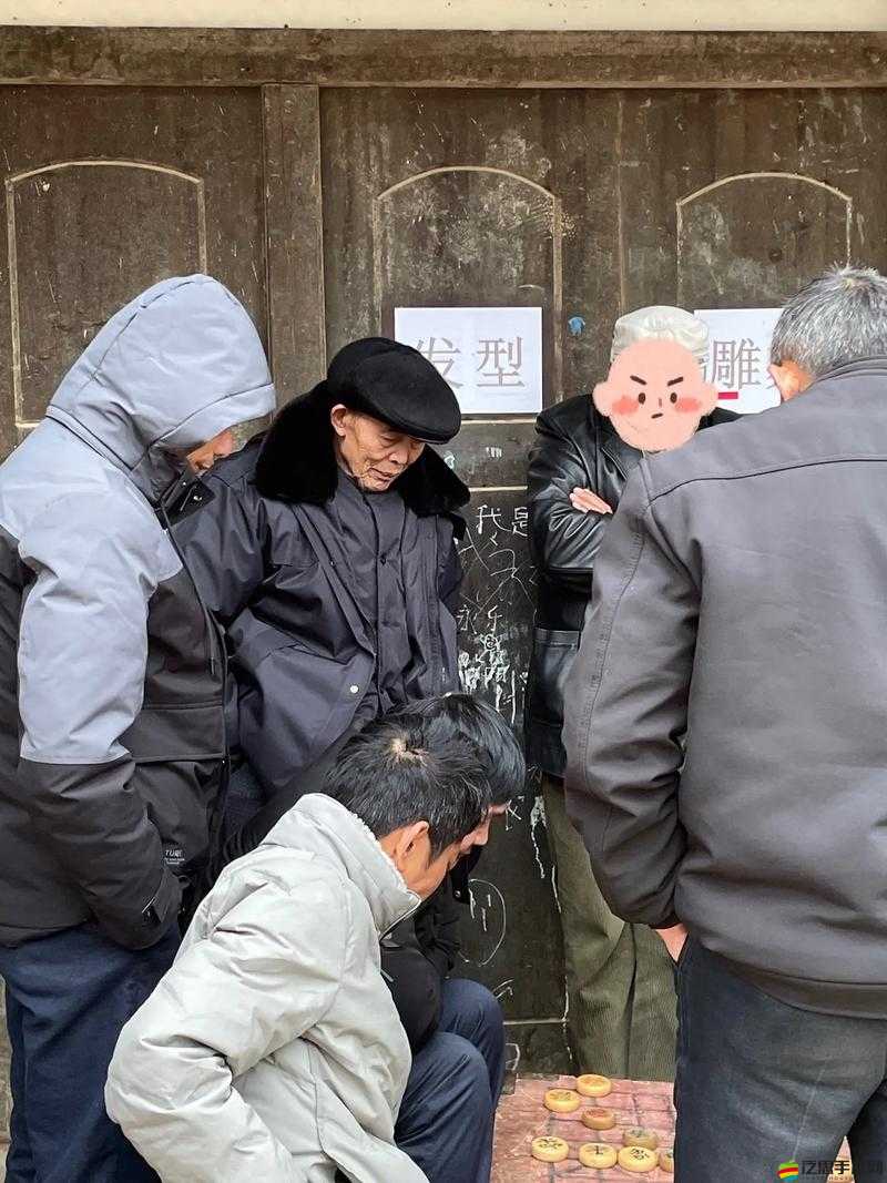 全部老頭和老太 XXXXX 軟件：探索老年群體的數字生活