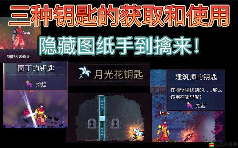 重生細胞游戲中獲取村莊鑰匙的詳細方法與步驟指南