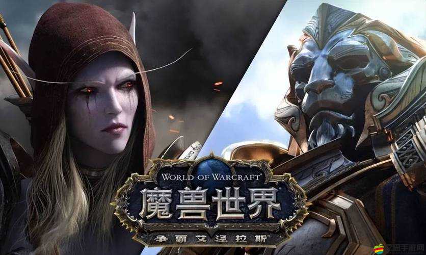 魔獸世界，探索最終職業的傳奇之旅，聆聽其震撼人心的絕唱