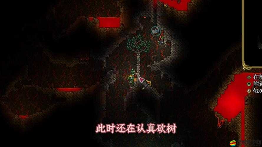 泰拉瑞亞游戲深度解析，揭秘向導角色的真實身份與背景故事