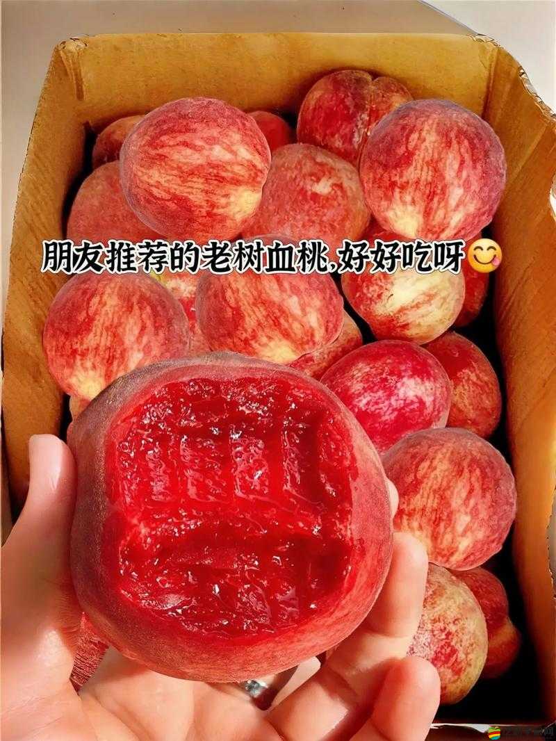 紅桃 3847 背后的神秘故事與獨特魅力