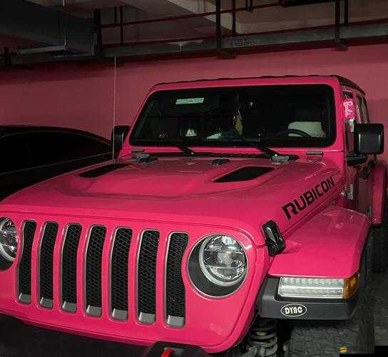 桃紅色 jeep 帶你開啟浪漫之旅駛向美好未來