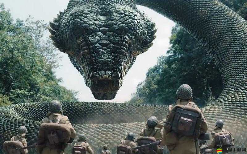 神秘電影 vip5 條通道在哪：探尋其背后的隱藏入口之謎