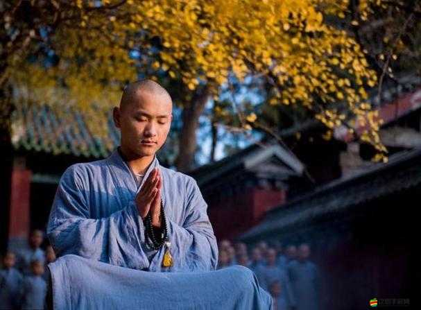 爽 躁多水 快 深點和尚：一場顛覆傳統(tǒng)的修行之旅