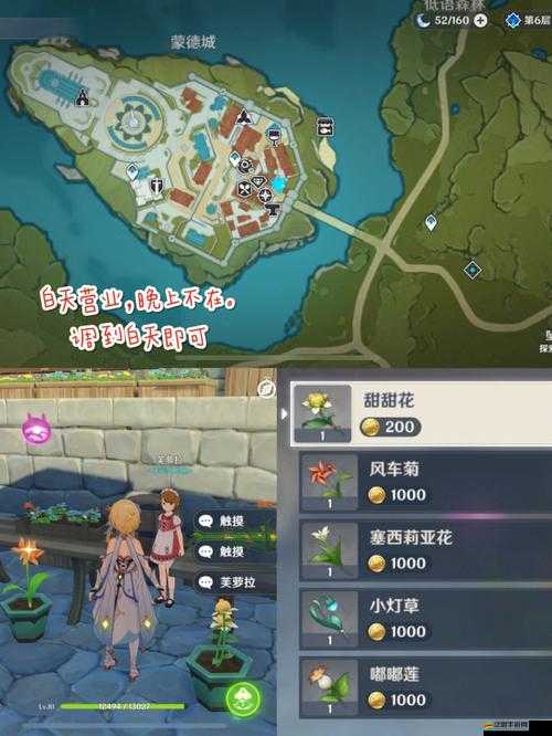 原神探索指南，全面揭秘小燈草高效采集的最佳地點與技巧
