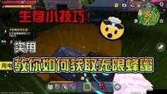 迷你世界，全面解析角色選擇策略與高效生存必備小技巧
