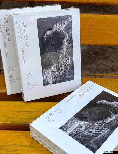 wwwwxxxx ：探索其背后不為人知的神秘與獨(dú)特魅力