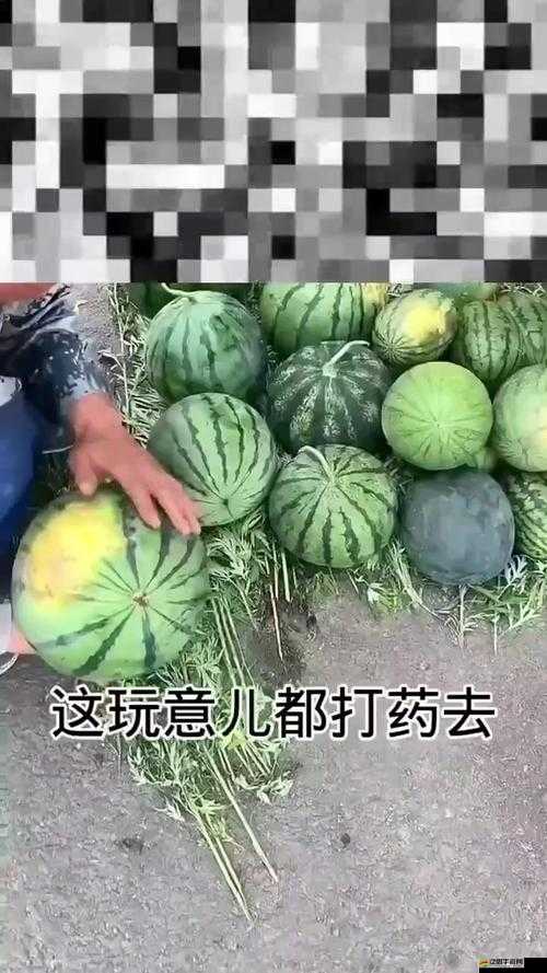 51吃瓜爆料黑料官網 I60UJBN：探尋真相，揭秘黑幕