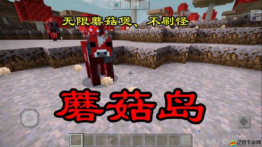 我的世界冒險玩家心中的萌寵之選，三強寵物爭霸賽精彩紛呈