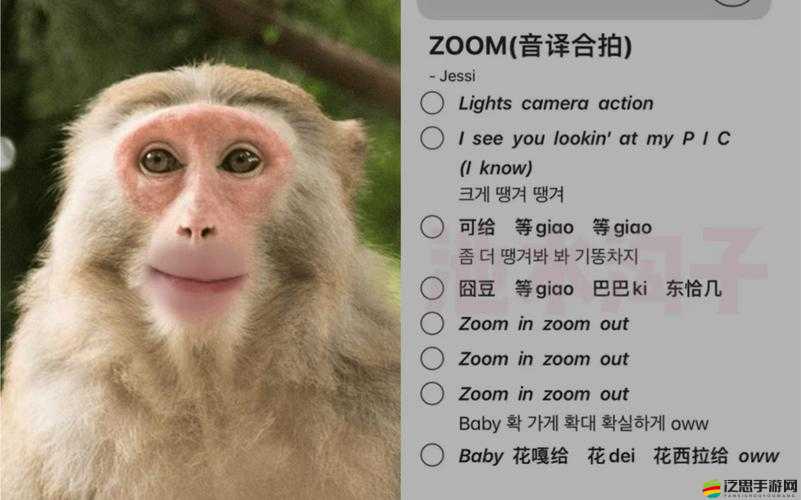 美國 Zoom 和動物 Zoom：它們之間有何奇妙聯系與獨特之處