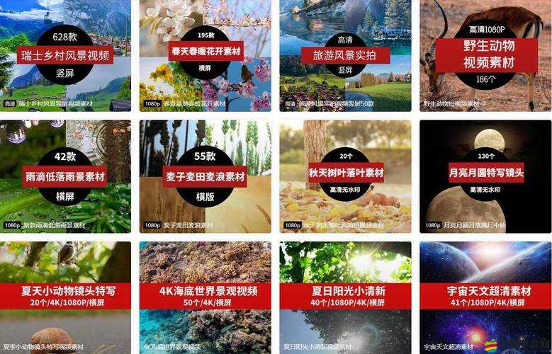成品短視頻軟件大全下載蘋果：匯聚海量優質短視頻軟件的寶庫