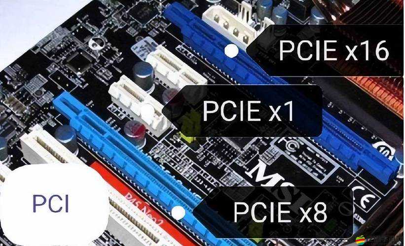 日本插槽 X8 插槽怎么用：詳細使用方法與操作技巧介紹
