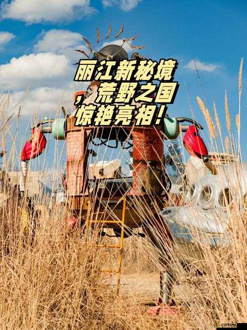 隨時隨地都能干的小鎮 I ：探索無盡可能的奇妙之地