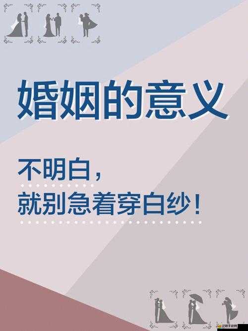 夢想新大陸，全面解鎖浪漫婚姻，深入探索結(jié)婚的必要條件與實(shí)施方法