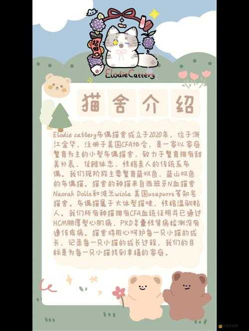 開心貓舍軟件詳細安裝步驟與全面配置說明指南