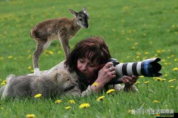 人與各種動物之間的奇妙故事與互動
