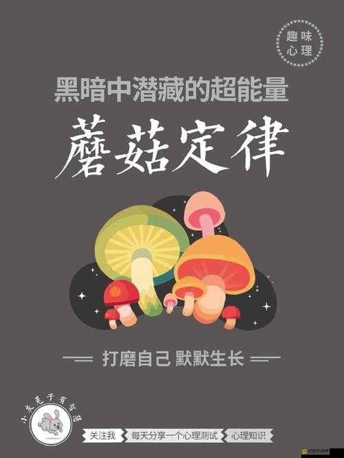 蘑菇moguspace 最新版本更新內容包括諸多新功能與改進