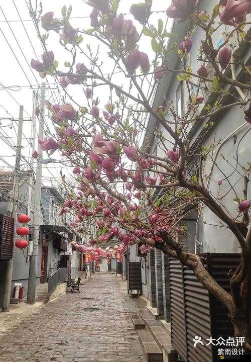 室外春雨綿綿室內(nèi)歡聲依舊：春景中屋內(nèi)歡樂氛圍的延續(xù)