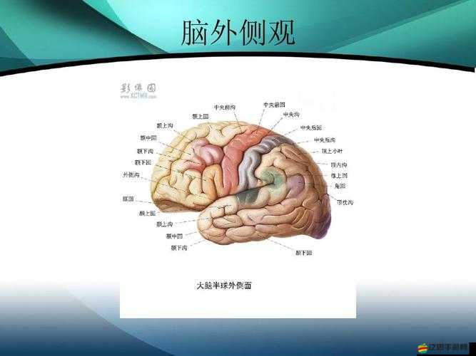 神經電影第 6 個路線之深度剖析與精彩解讀