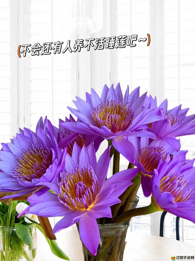 女子半夜蓮花開究竟該如何應(yīng)對呢