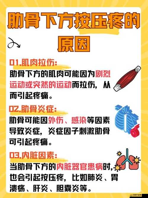 疼疼疼痛痛痛痛痛安全方問：關于其重要性及相關探討分析