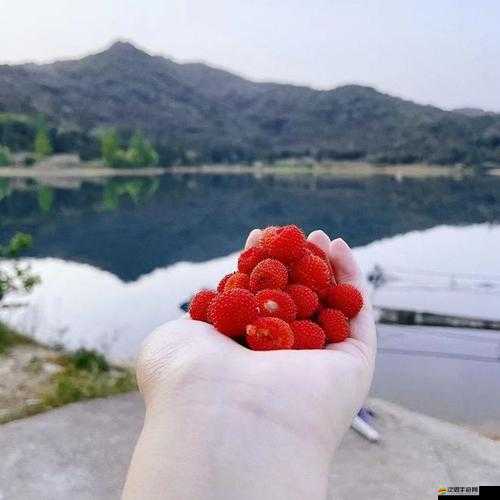 來射吧水莓：挑戰自我的水上運動體驗