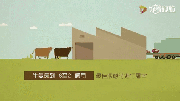 我獲得了肉禽系統：從農場到餐桌的全程掌控