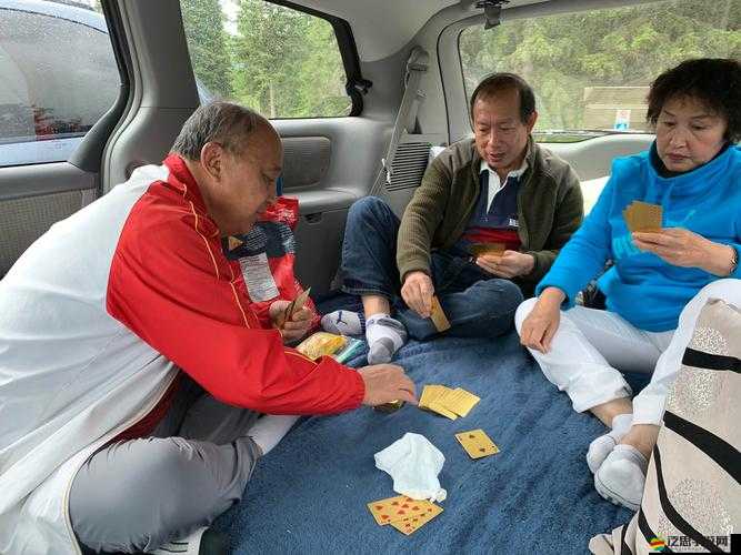 在車里打撲克：一場激情與疼痛的較量