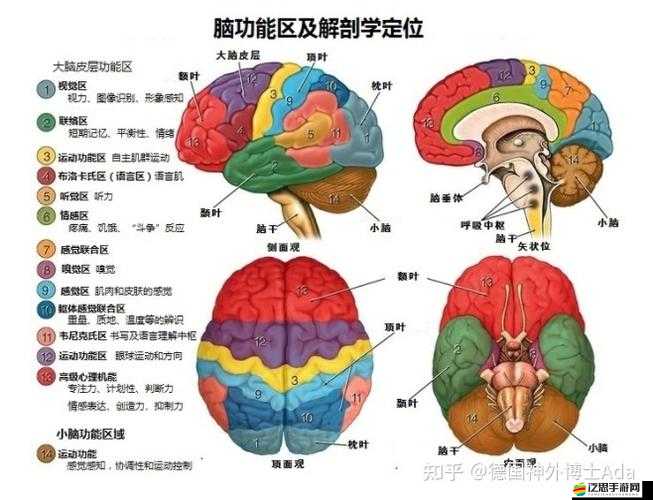 女生開過包以后會有什么樣的變化：深度剖析與全面解讀