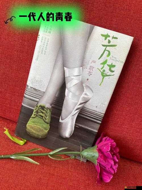 男同志 gy www. 網站校草：花樣年華的別樣青春