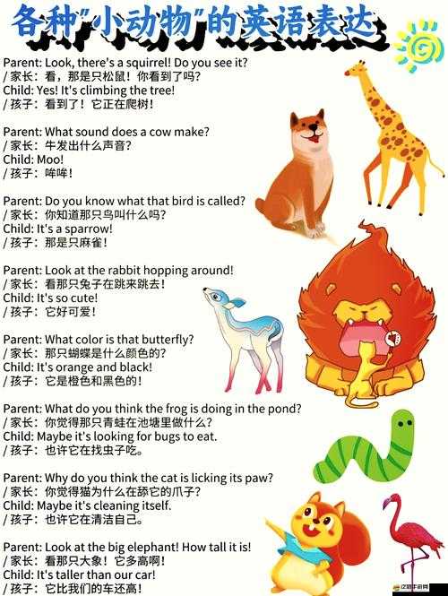 美國 ZOOM 動物的奇妙之旅：探索動物世界的奧秘