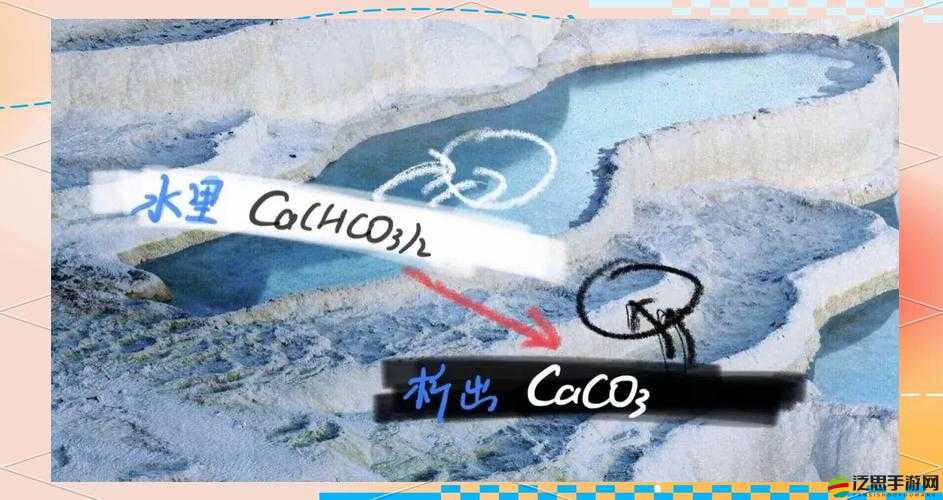 鈣GGY 鈣站男男：關于他們的獨特故事與奇妙經歷