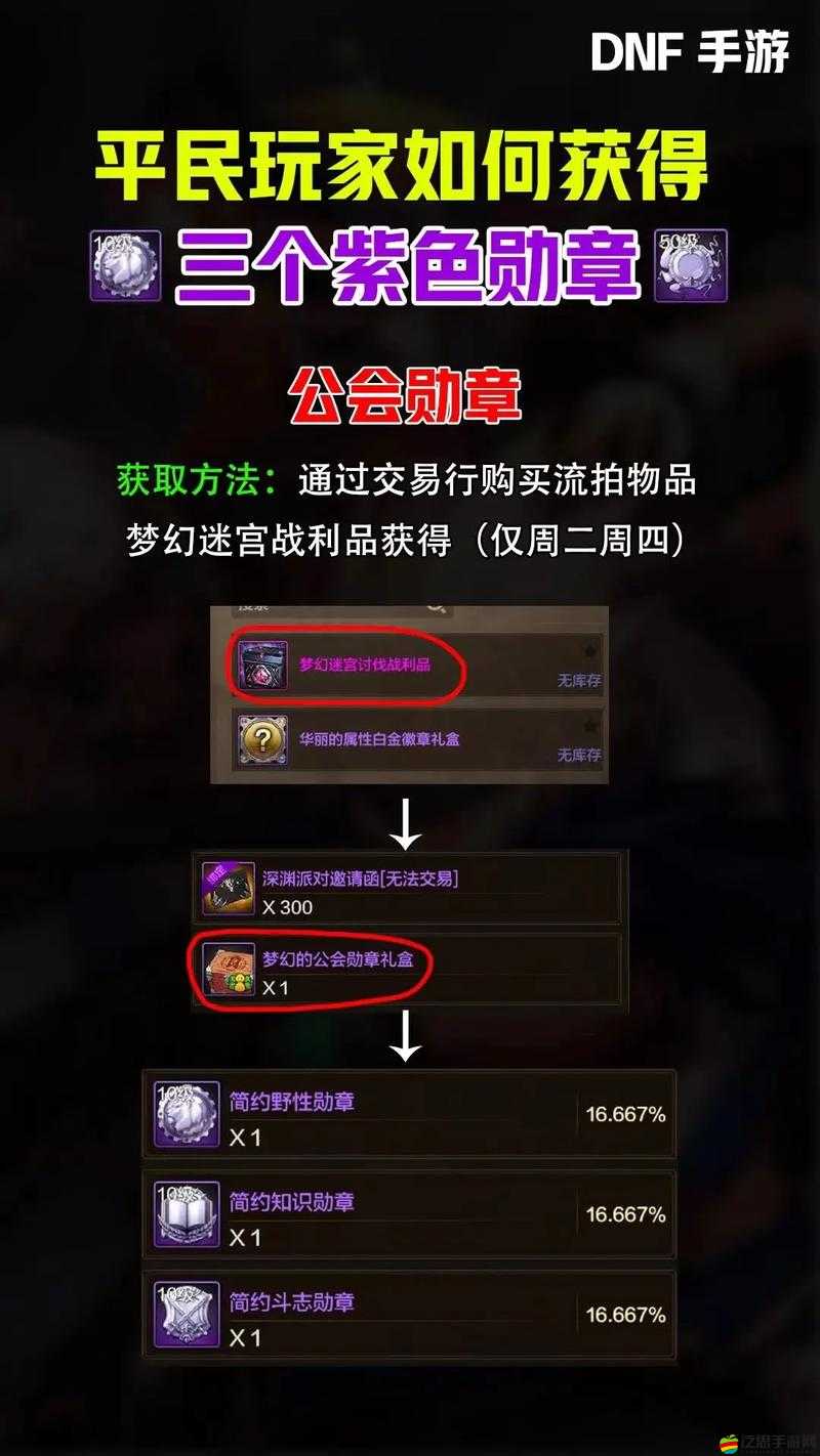 DNF手游小號玩法深度解析，掌握攻略，解鎖全新游戲世界的鑰匙