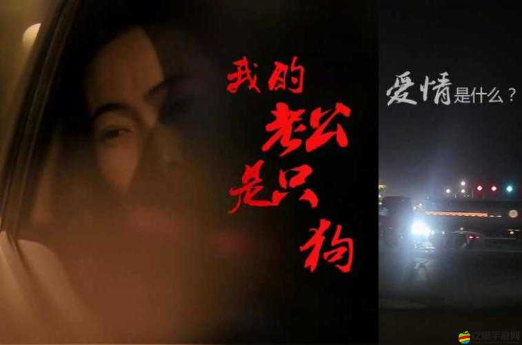 我的老公是條狗白珍麗山本一郎：一段超乎想象的奇異情感故事